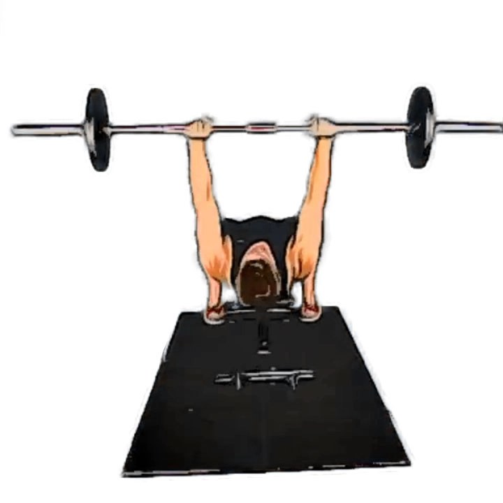 Barbell exercises Nutshell Strength & Conditioning.