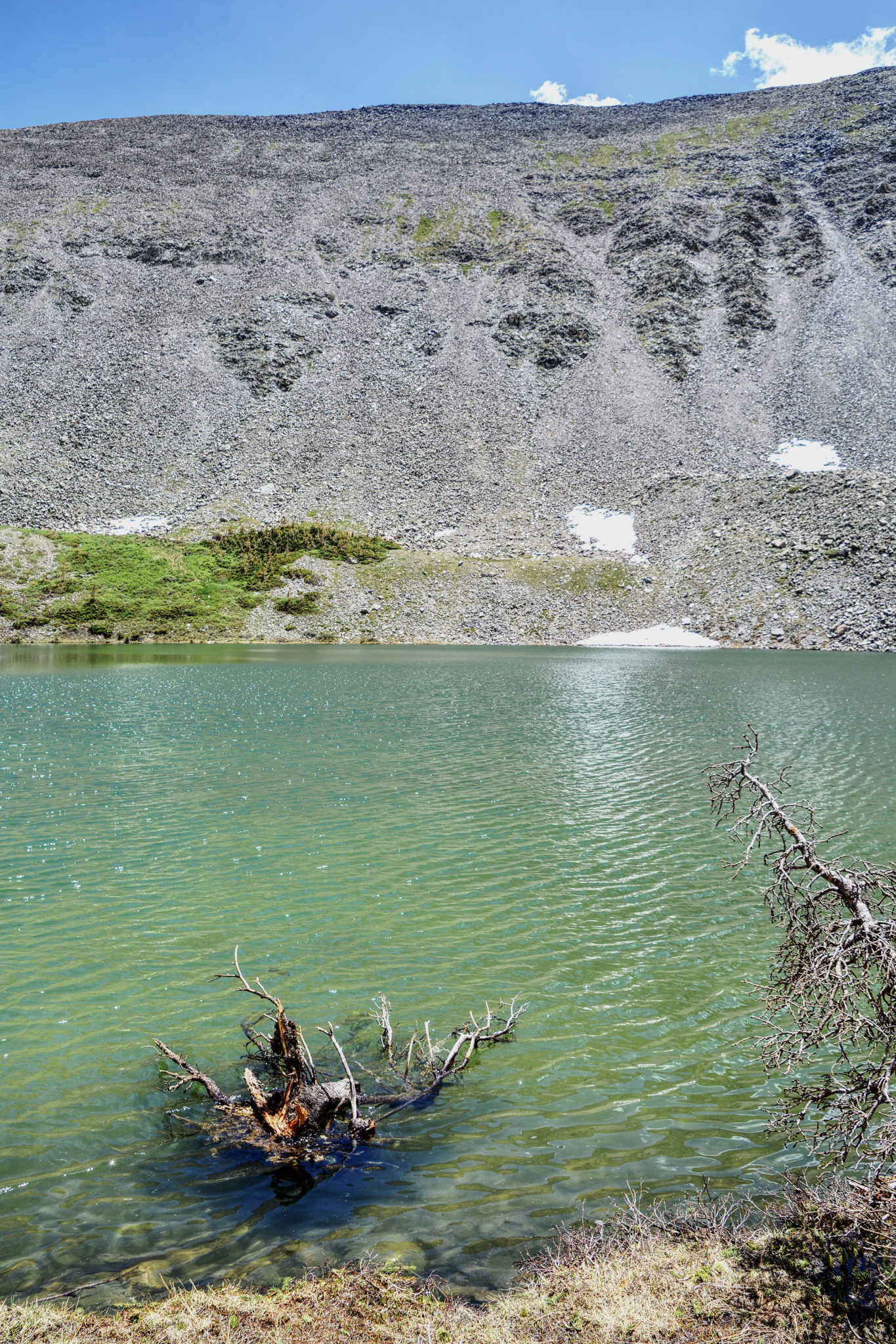 Bar N I Ranch things to do In a Nutshell... or Two