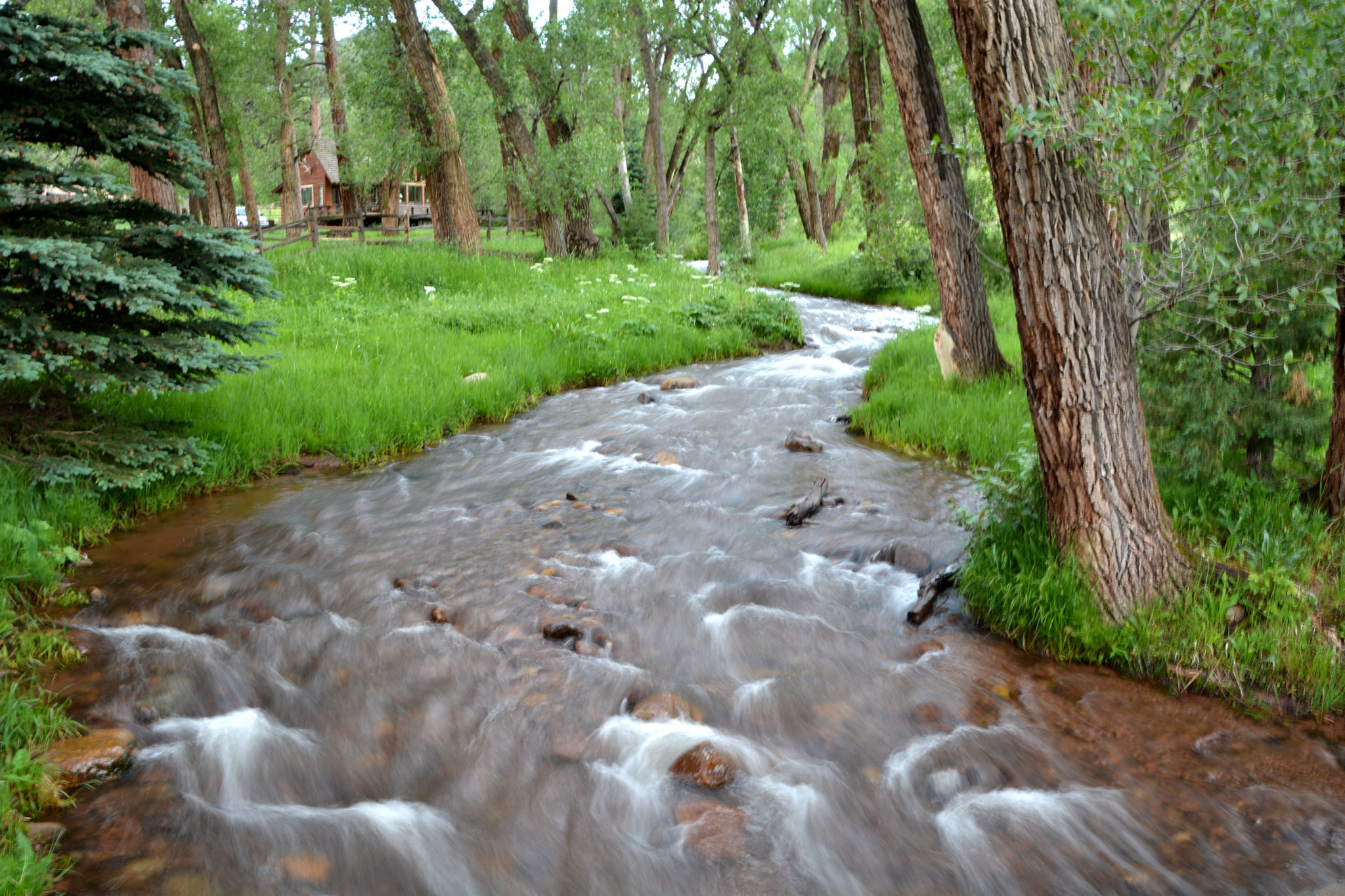 Bar N I Ranch things to do In a Nutshell... or Two