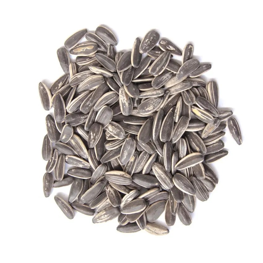 Sunflower Seeds, Raw, In Shell Wholesale Bulk Nutsite
