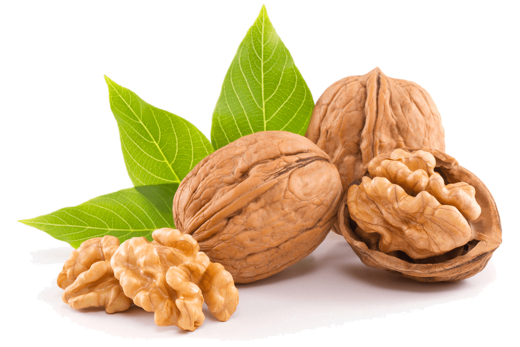 WALNUT BEST NUT, GOOD LIFE
