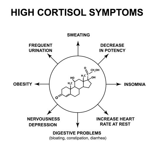 Symptoms Of High Cortisol Levels