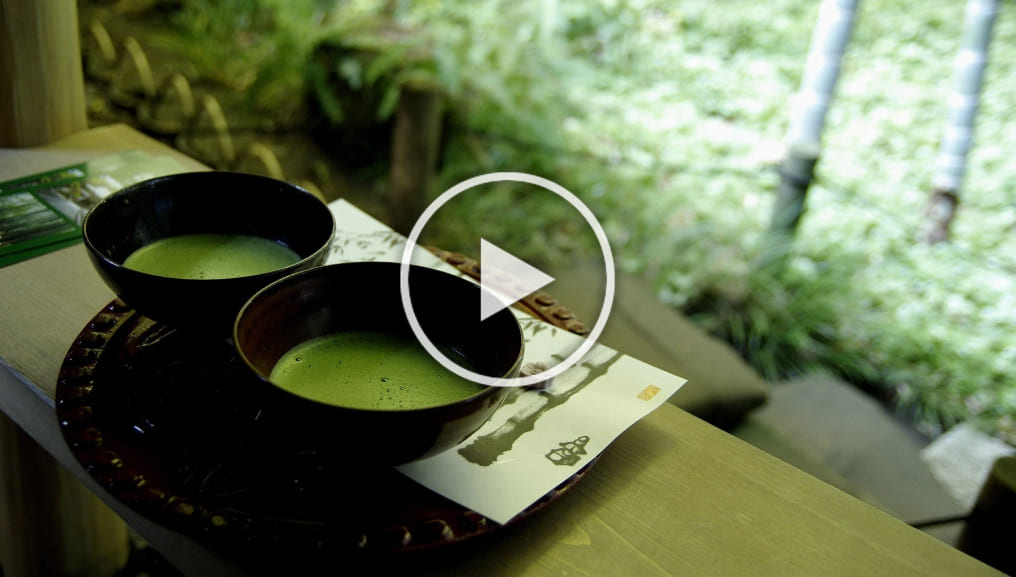 Limited Time Promo 70 Off Matcha Green Tea Detox Powder! Nuubu