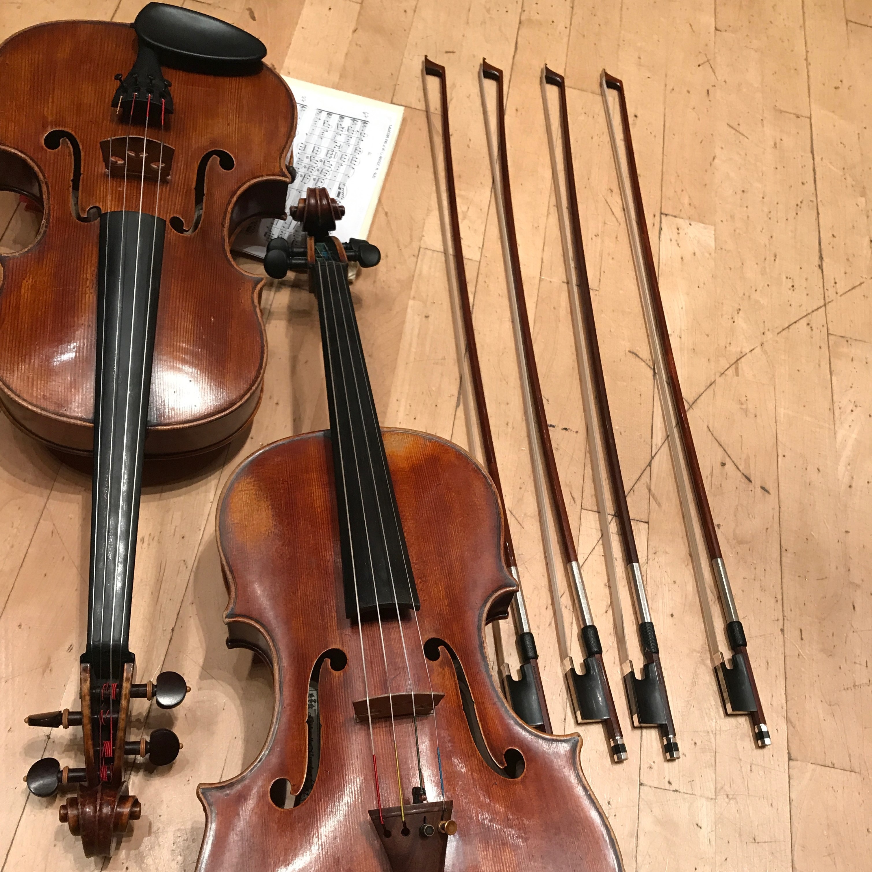 Gallery / Northwestern Viola Studio