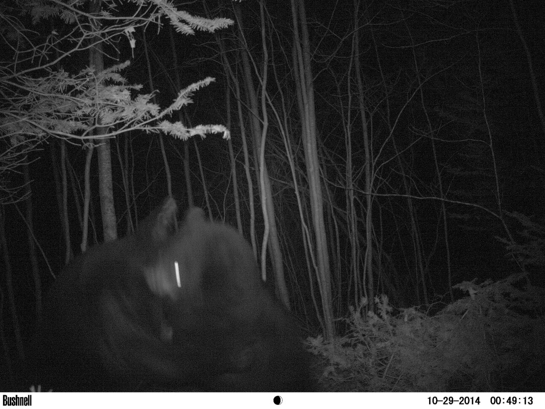 NuWay Stove Photo Gallery