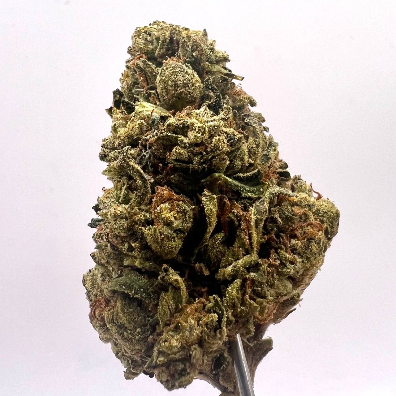 (TS) Gellati North Virgina 420 Best Weed Delivery & Medical