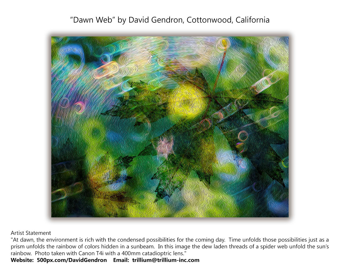 North Valley Art League 2023 Regional Juried Photography Show Nval 2015 International Juried Photography Show Gold Selections - North Valley Art League & Carter House Gallery