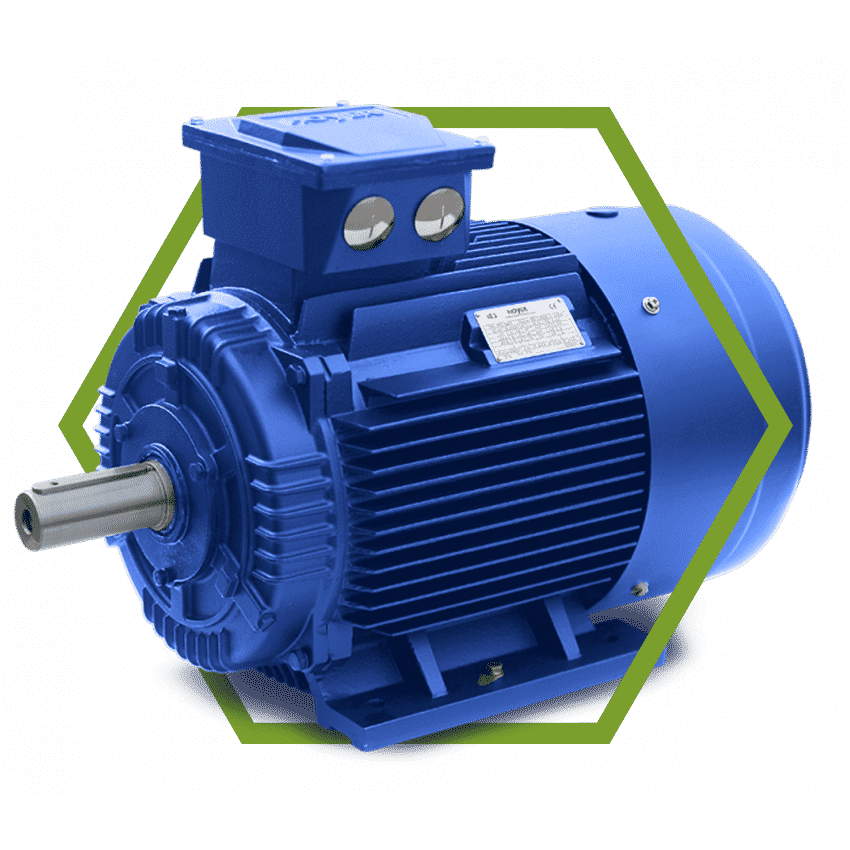 EMR Standard Electric Motors