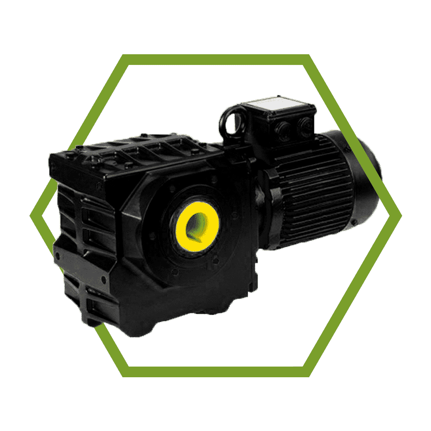 EMR Submersible Worm Geared Motor BS Series