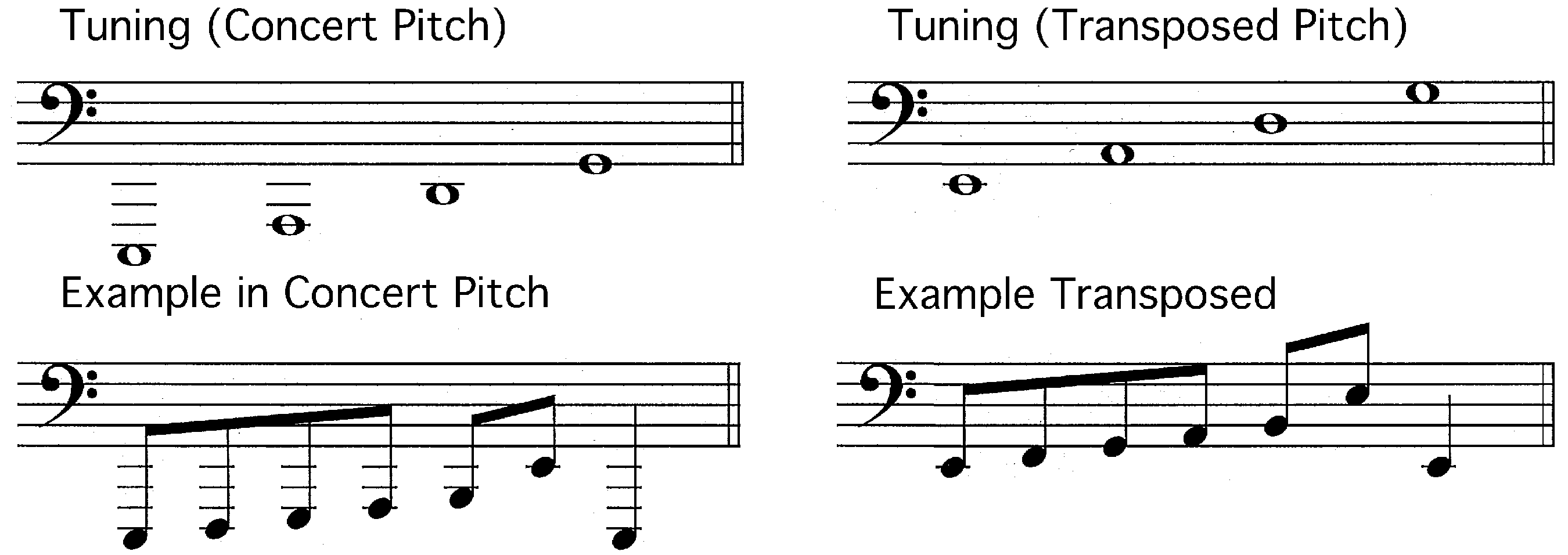 The New Violin Family (2023)