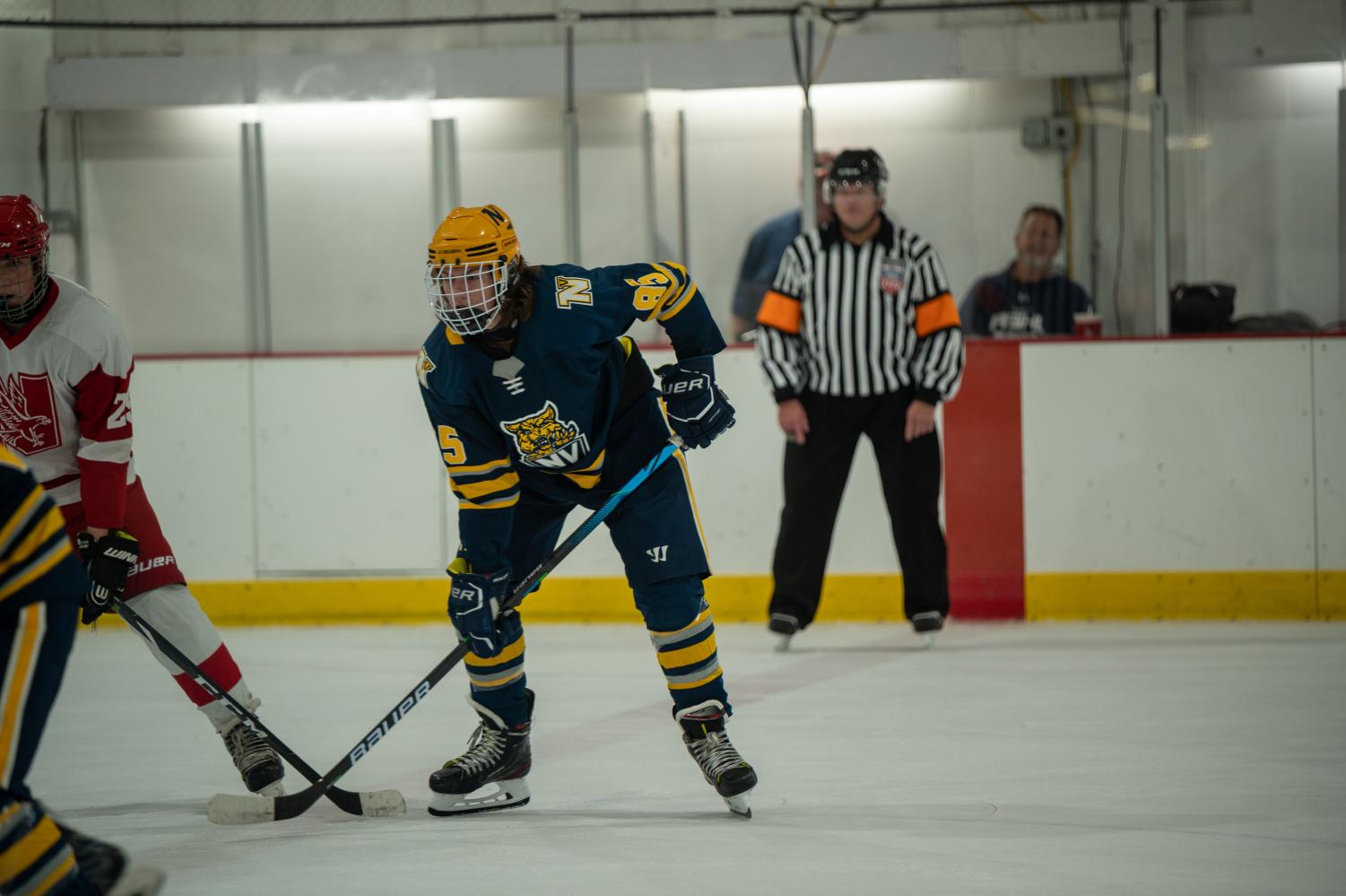 Neuqua Hockey beats Naperville Central 20 The Echo