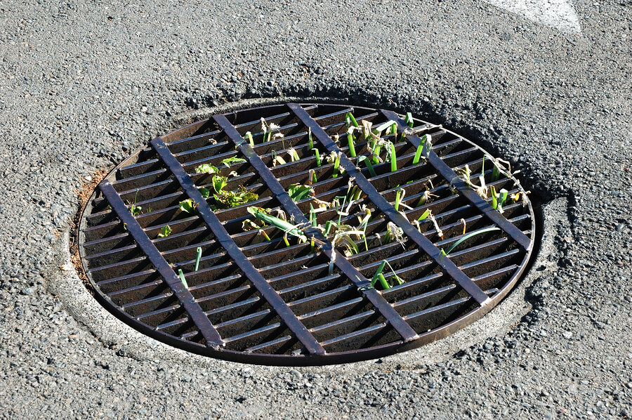 Underground Drainage Catch Basin Best Drain Photos