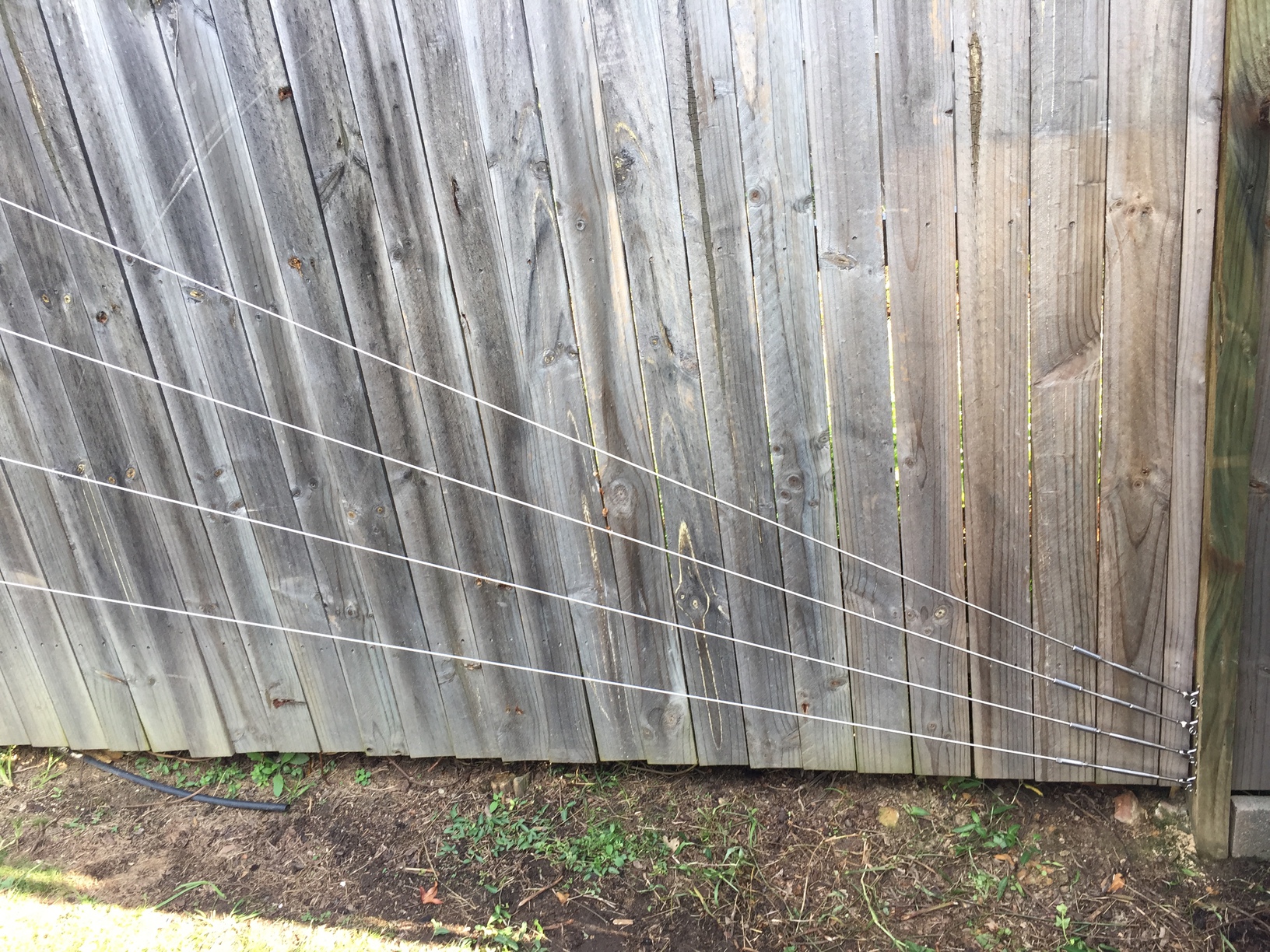 Steel cable trellis Nick’s Blog