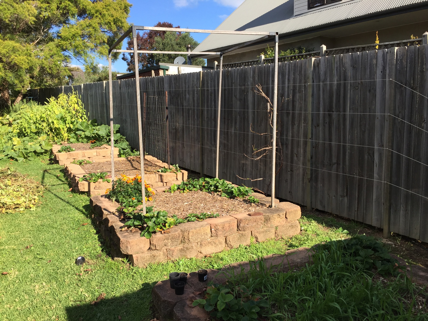 Steel cable trellis Nick’s Blog