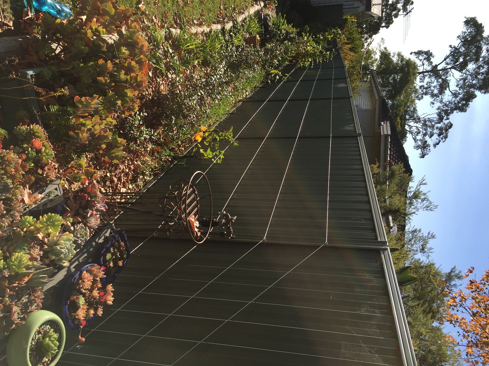 Steel cable trellis Nick’s Blog