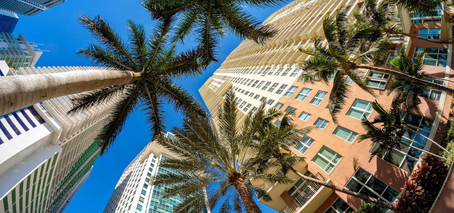 Luxury Real Estate Brickell NVP Group