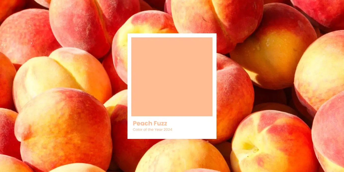 Envelop Yourself in Peach Fuzz - NVR NUDE