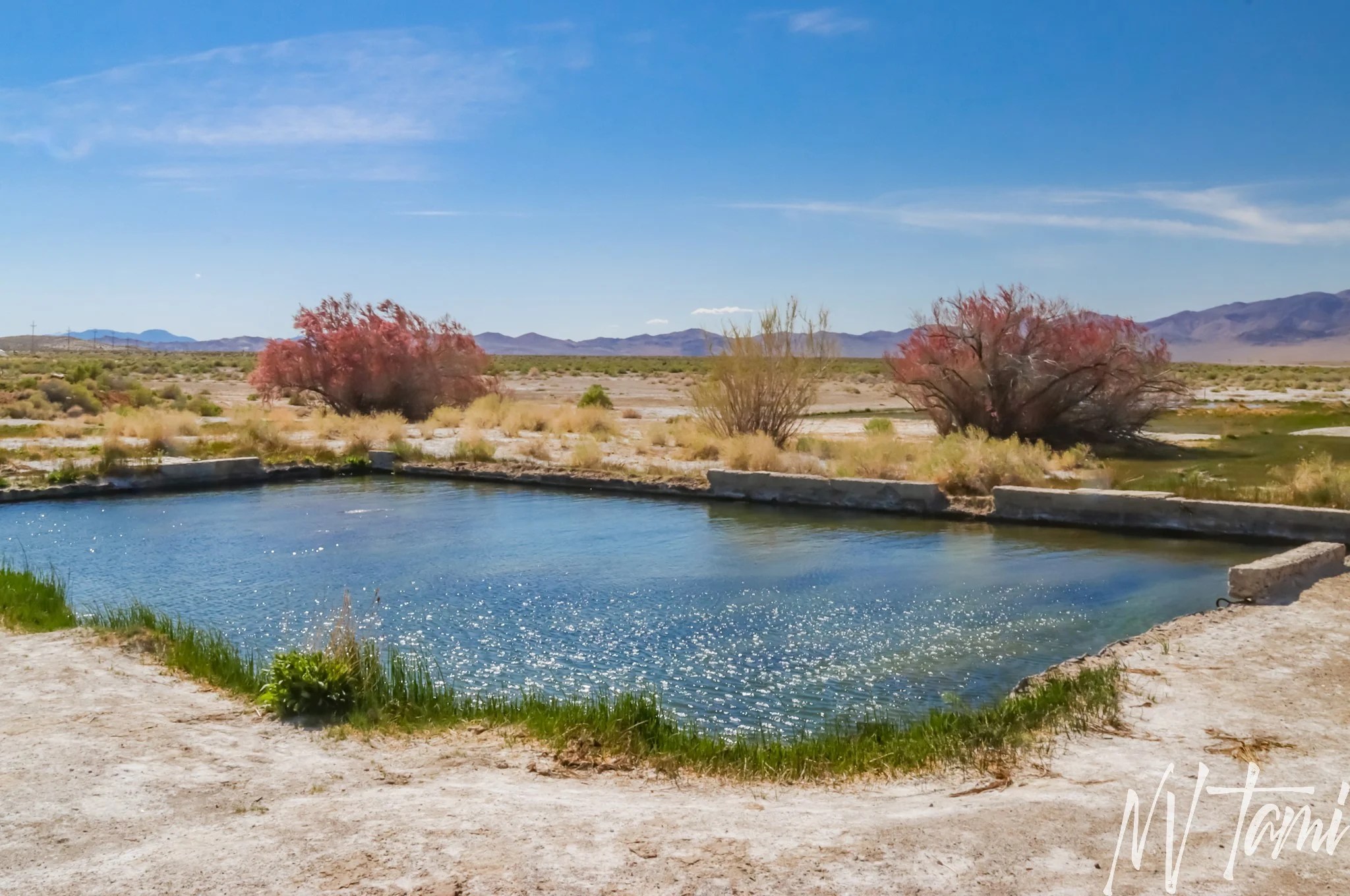 Alkali, Nevada Ghost Town