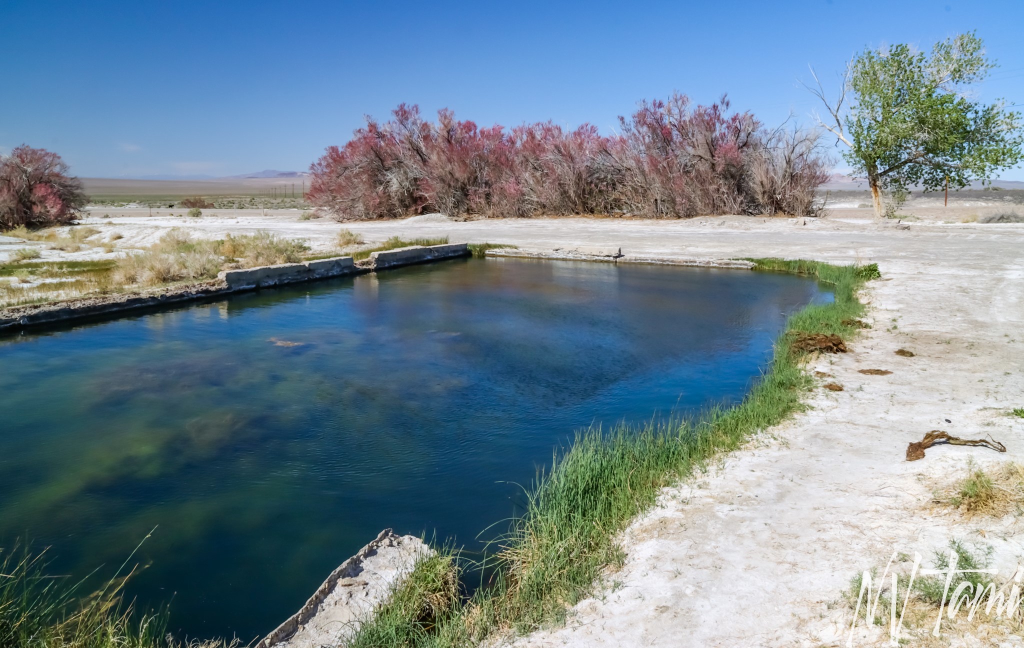 Alkali, Nevada Ghost Town