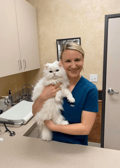 Veterinarian in Grapevine, TX 76051 Northwest Animal Hospital