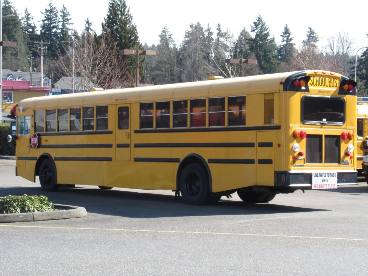 2005 International RE300 72 Passenger School Bus B87819 Northwest