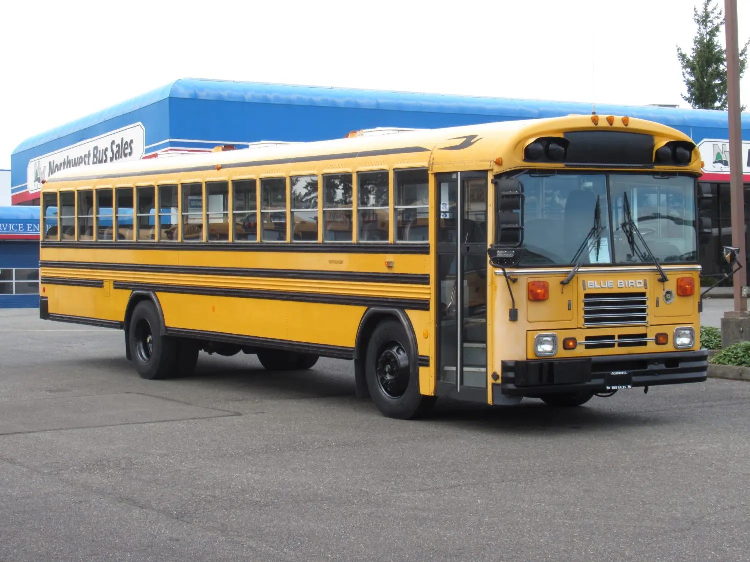 2001 Blue Bird TC2000 78 Passenger School Bus B99505 Northwest Bus