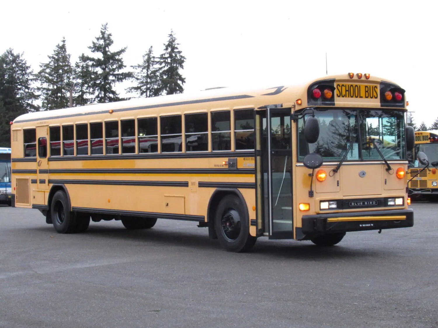 2006 Blue Bird All American 78 Passenger School Bus B34397