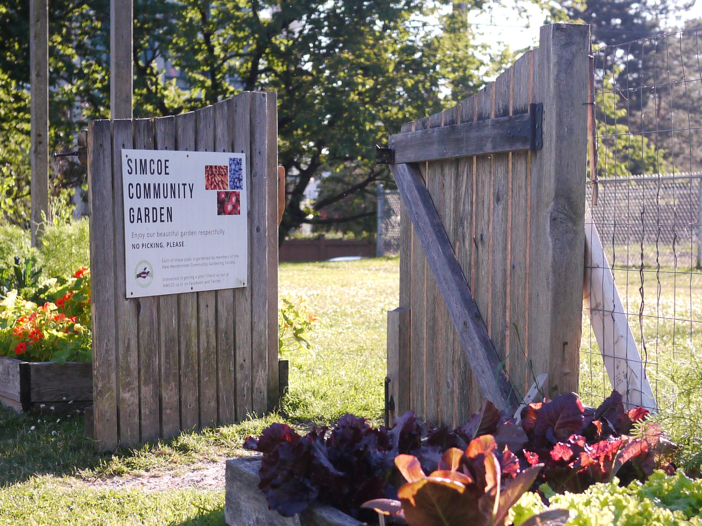 New Westminster Community Gardening Society New Westminster Community