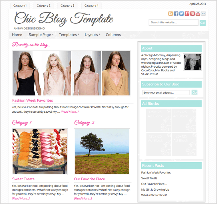 Chic Theme Custom Blog & site Design by NW Designs