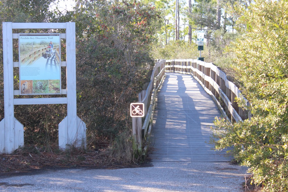 Nature Tourism The Intracoastal Waterway Perdido Key Panhandle