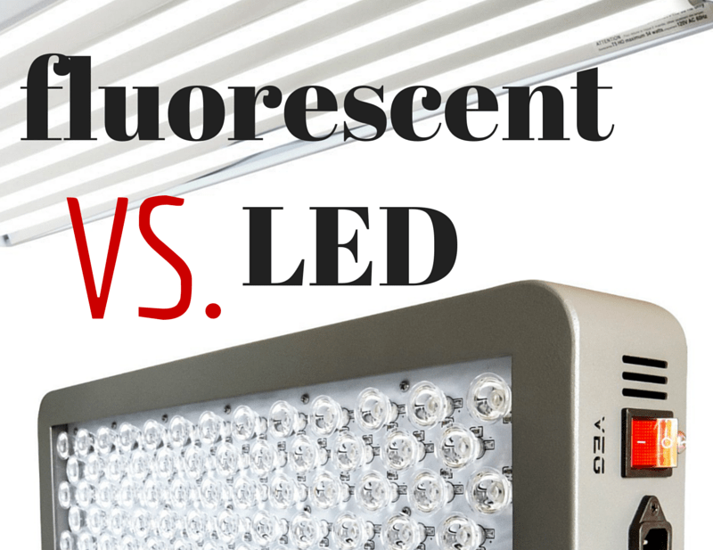 Are LED Grow Lights Worth The Money? Northwest Edible Life