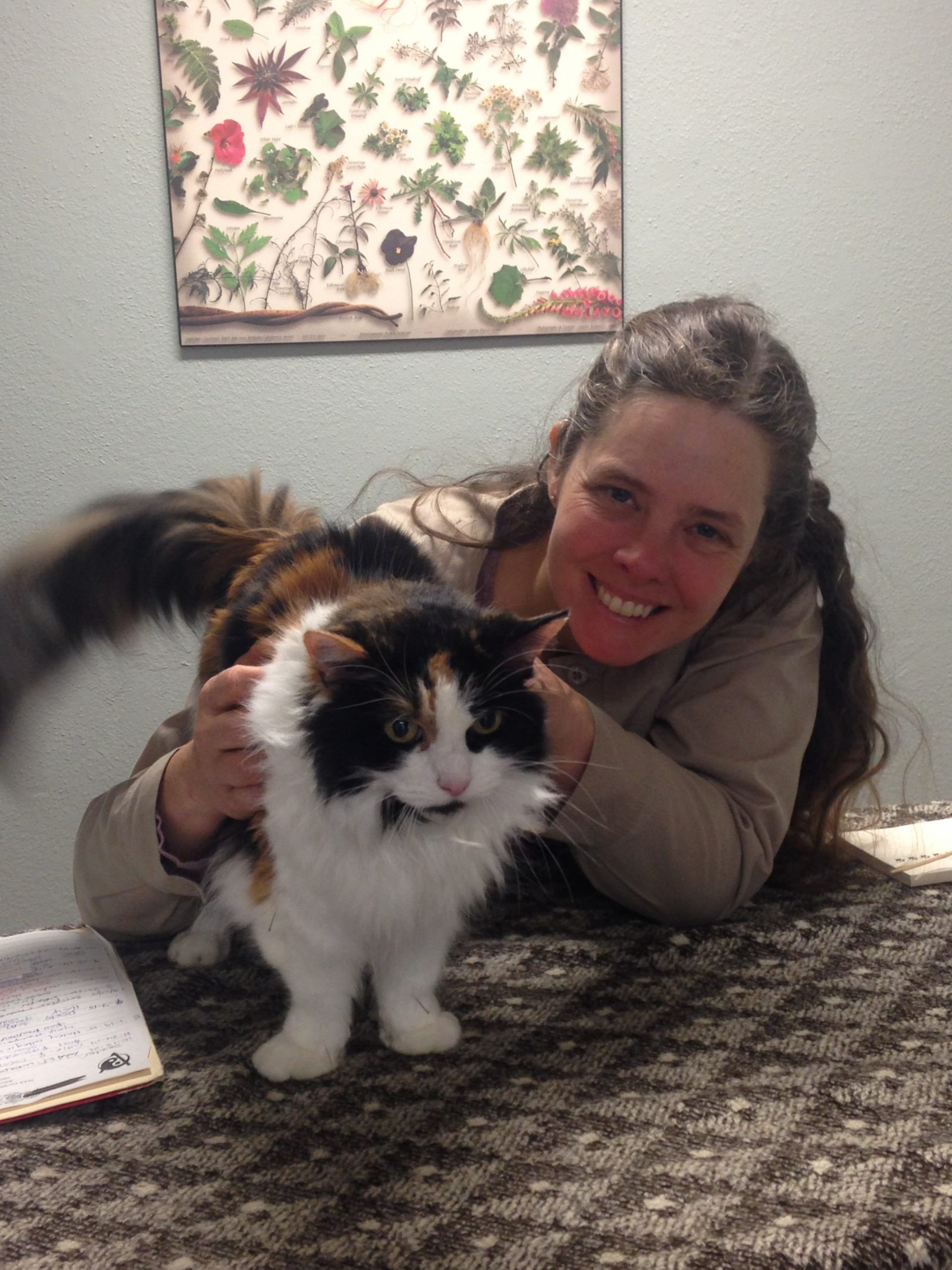 Urinary problems in dogs and cats Northwest Holistic Pet Care