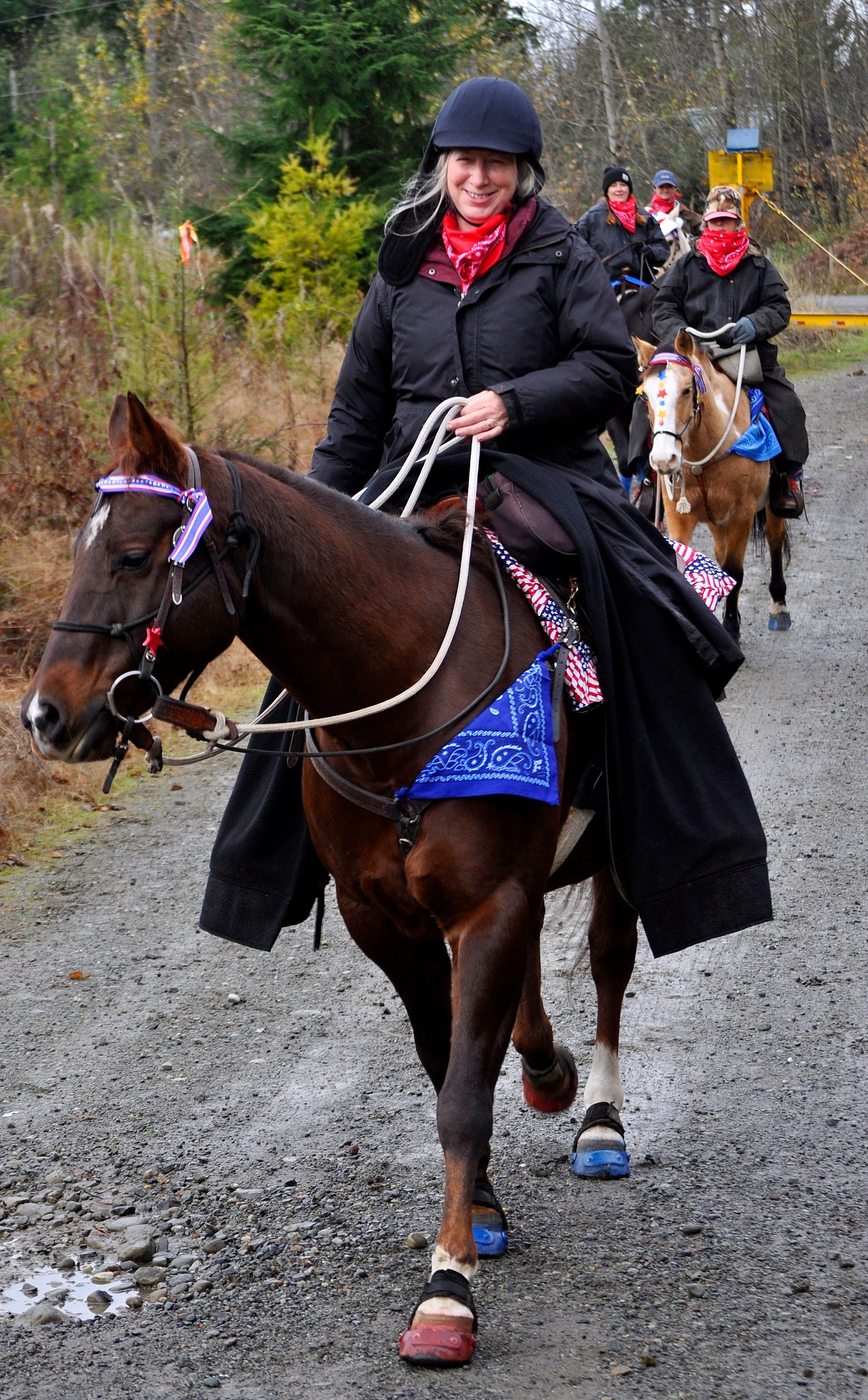 Keep You and Your Horse Warm with Winter Lap Robes and Rump Rugs