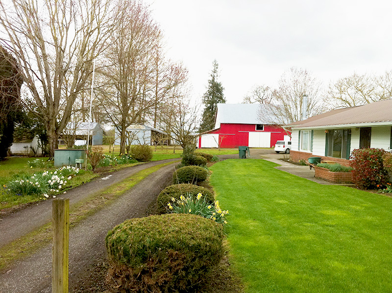 Horse Property For Rent in Scio Oregon The Northwest Horse Source