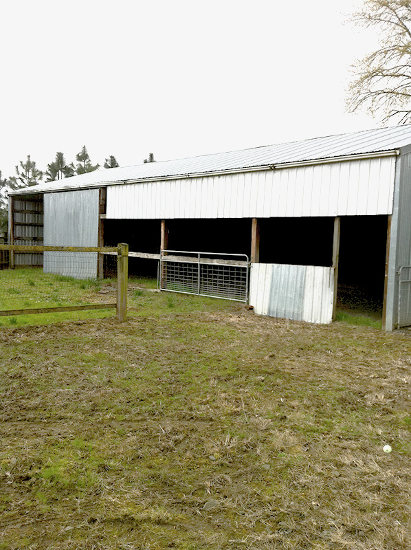 Horse Property For Rent in Scio Oregon The Northwest Horse Source