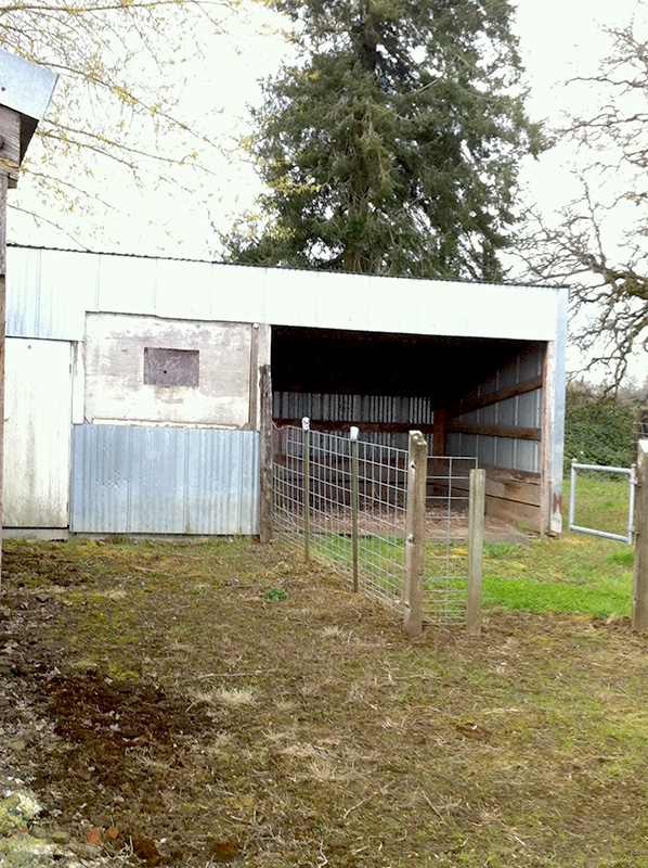 Horse Property For Rent in Scio Oregon The Northwest Horse Source