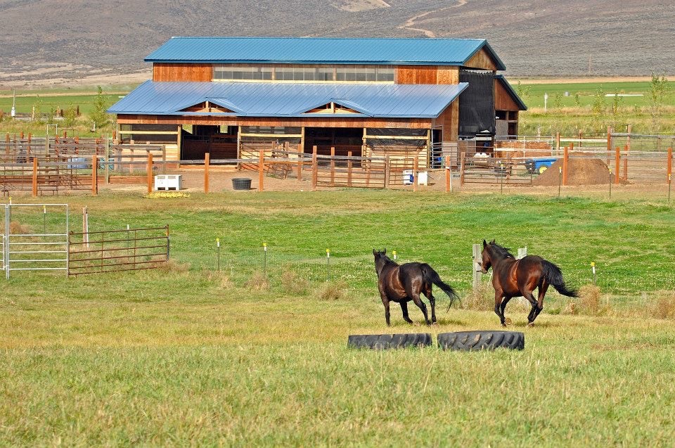 EvenSong Farm Equine Retirement listed on The Northwest Horse Source