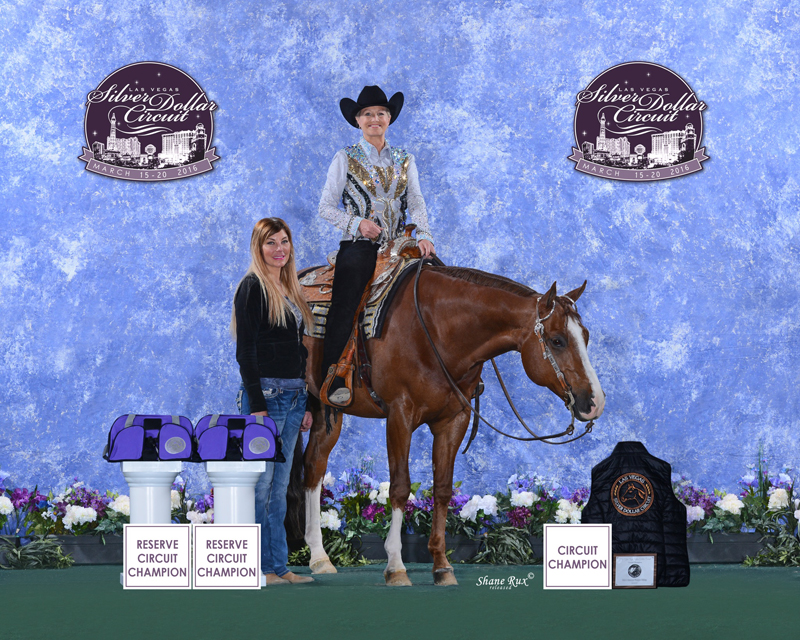 Western Ny Quarter Horse Club at Laticia Naylor blog