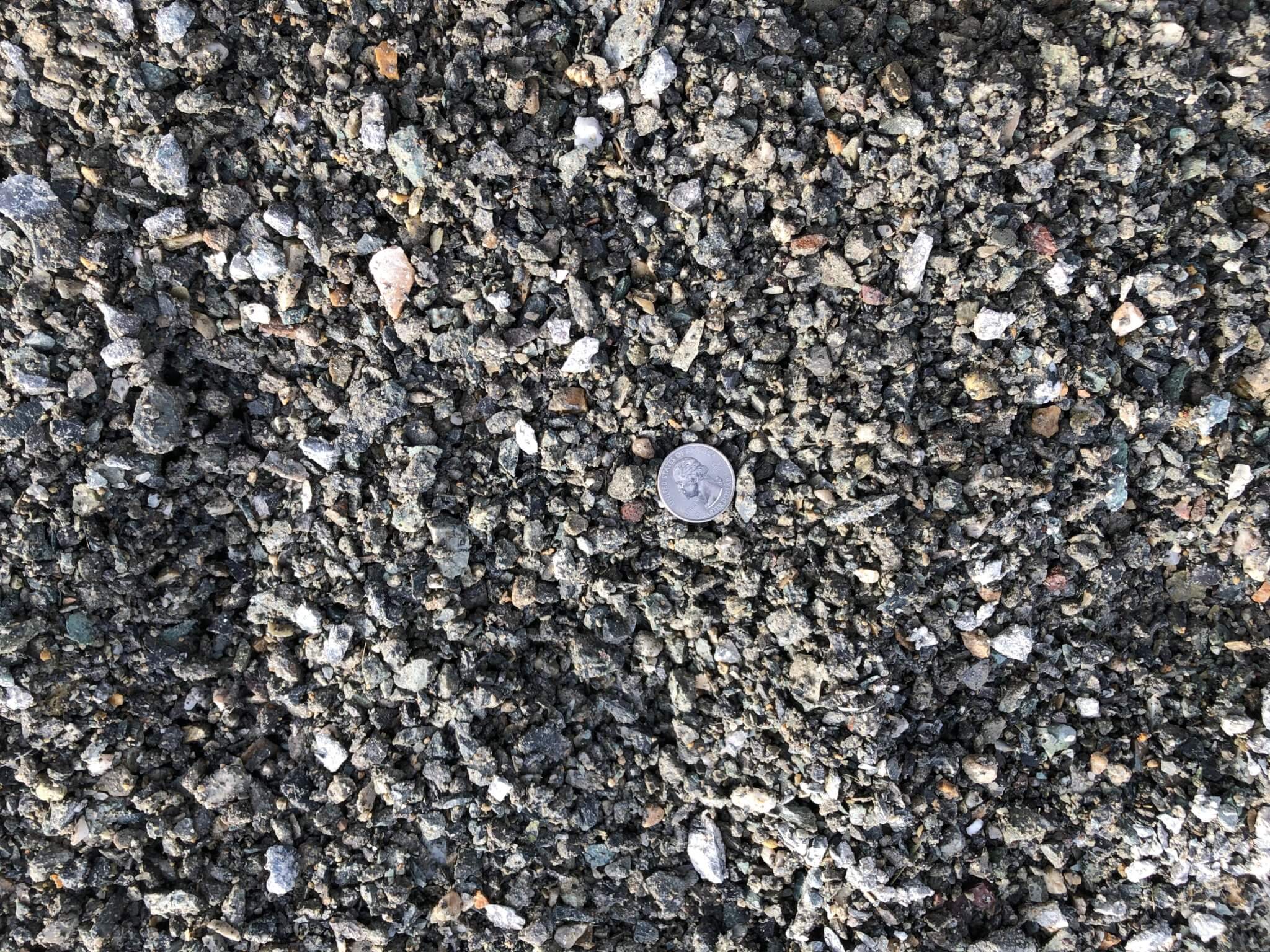 The Scoop on Gravel Footing Choices for MudFree Paddocks Articles