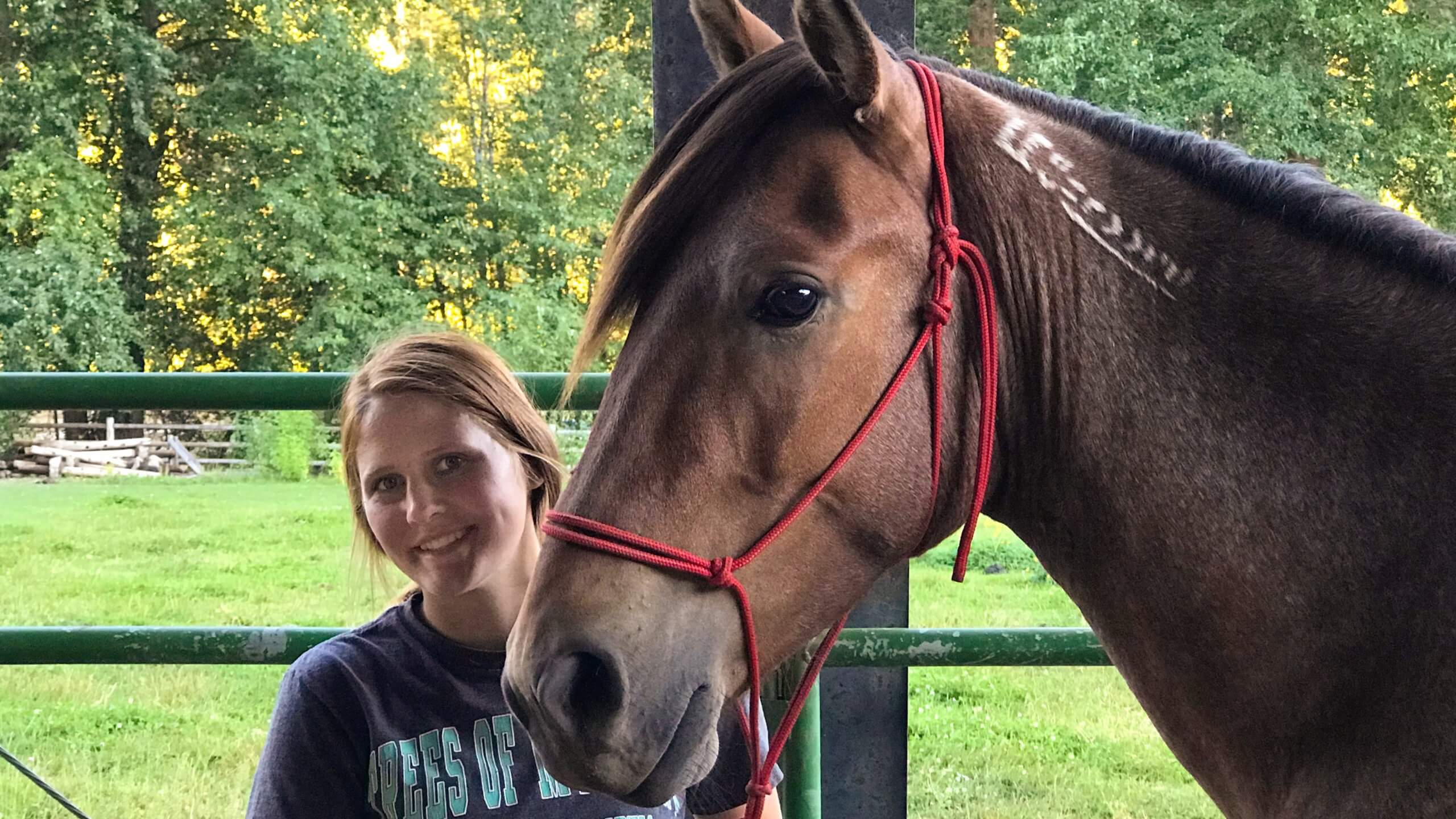 Creed, Part One The Gentle Giant Mustang Articles The Northwest