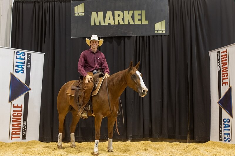 Fall Triangle Horse Sale News The Northwest Horse Source