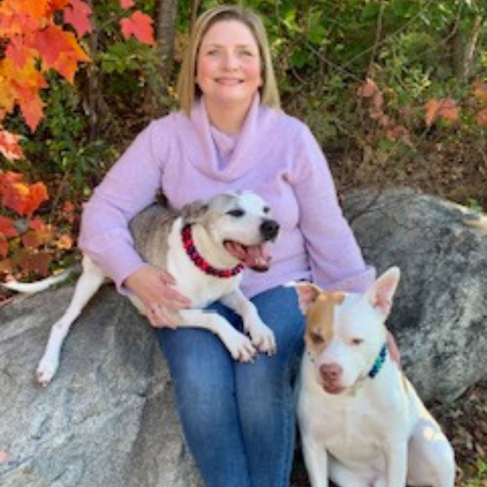 Windham, ME 04062 Veterinarians North Windham Veterinary Hospital