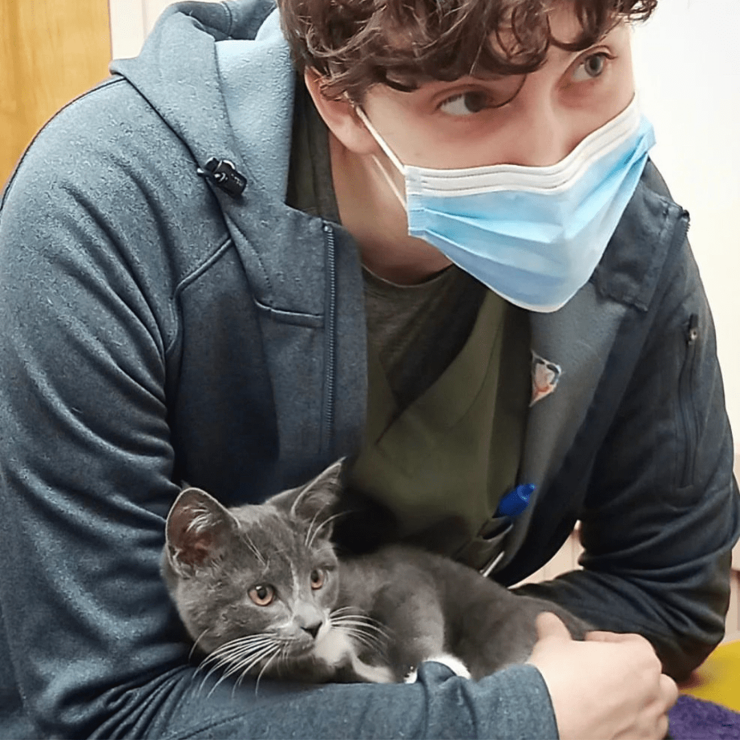 North Windham Veterinary Hospital Patient Gallery Vet Clinic In Windham, ME 04062