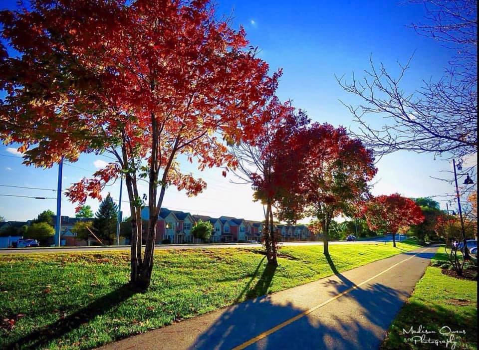 All Current Houses For Sale On Ridge Road Highland Indiana Northwest