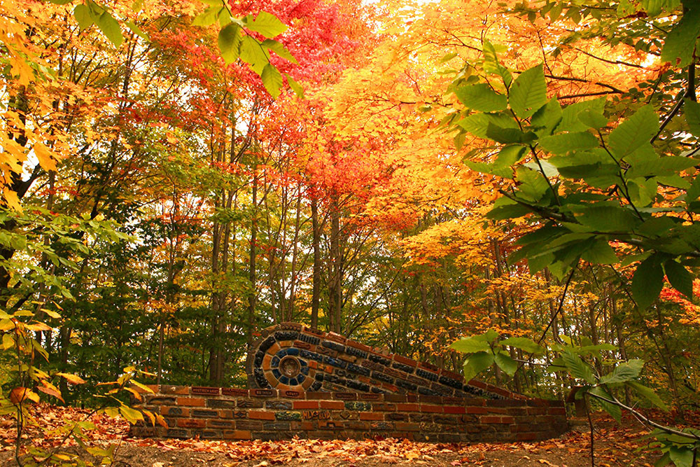 Annual Fall Color Tour at Michigan Legacy Art Park NW MI ARTS