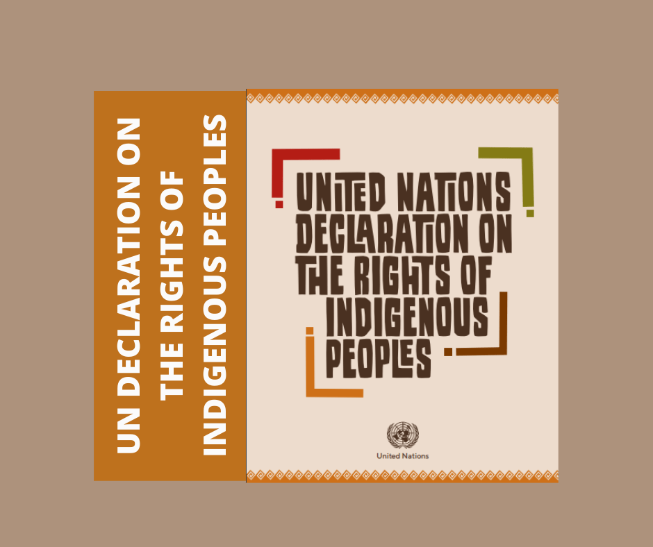 What is the UN Declaration on the Rights of Indigenous Peoples