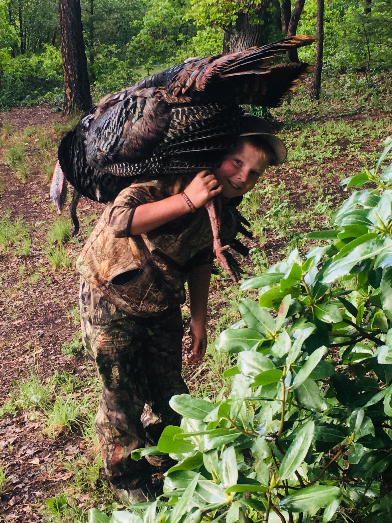 Oregon Spring 2021 Turkey Hunting Forecast