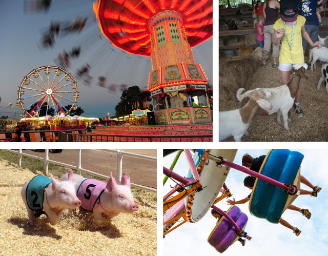 Five Great County Fairs in Washington State Northwest Tripfinder