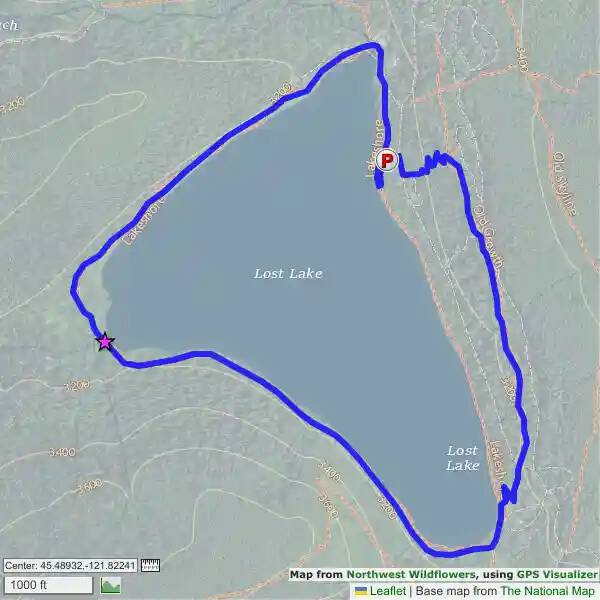 Lost Lake, Oregon Northwest Wildflowers