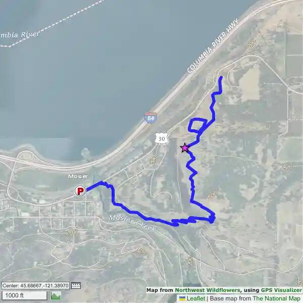 Mosier Plateau, Oregon Northwest Wildflowers